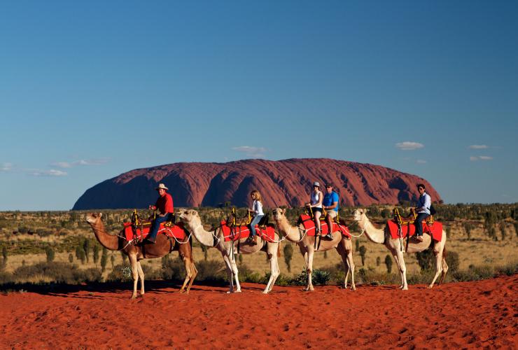 北领地，乌鲁鲁，骆驼骑行之旅 © 乌鲁鲁骆驼骑行之旅