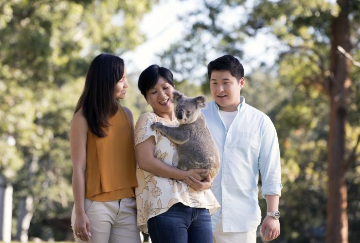 游客在龙柏考拉保护区拥抱考拉 © 澳大利亚旅游局版权所有 游客在龙柏考拉保护区拥抱考拉 © 澳大利亚旅游局版权所有