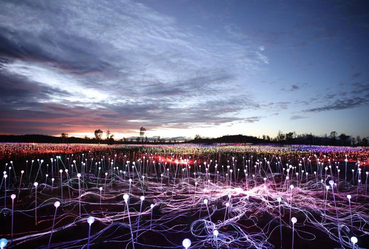 北领地,乌鲁鲁卡塔丘塔国家公园,原野星光展 © Voyages Marketing 版权所有 北领地,乌鲁鲁卡塔丘塔国家公园,原野星光展 © Voyages Marketing 版权所有