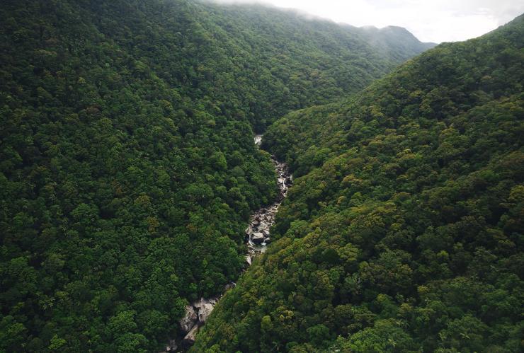 昆士兰州,戴恩树热带雨林,莫斯曼峡谷 © 热带北昆士兰旅游局版权所有 昆士兰州,戴恩树热带雨林,莫斯曼峡谷 © 热带北昆士兰旅游局版权所有