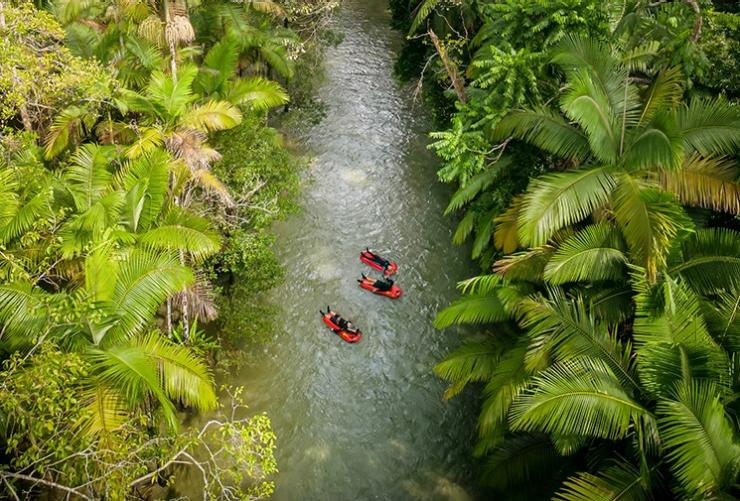 昆士兰州,戴恩树,Back Country Bliss © Back Country Bliss Adventures 版权所有