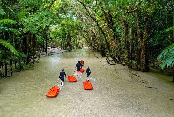昆士兰州,戴恩树,Back Country Bliss © Back Country Bliss Adventures 版权所有